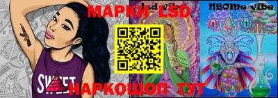 крисы Новокубанск