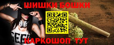 крисы Новокубанск
