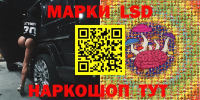 крисы Новокубанск
