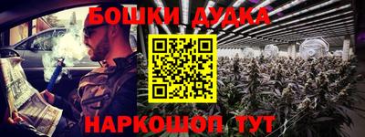 крисы Новокубанск