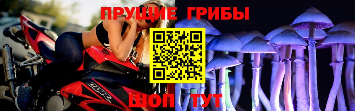 Углич  Псилоцибиновые грибы мицелий  Вход с VPN  Галлюциногенные грибы Cubensis 